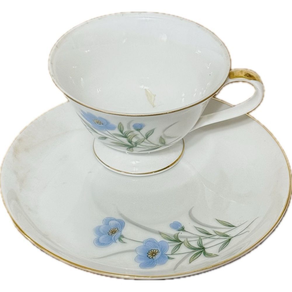 Elegant Floral Teacup and Saucer Set‎